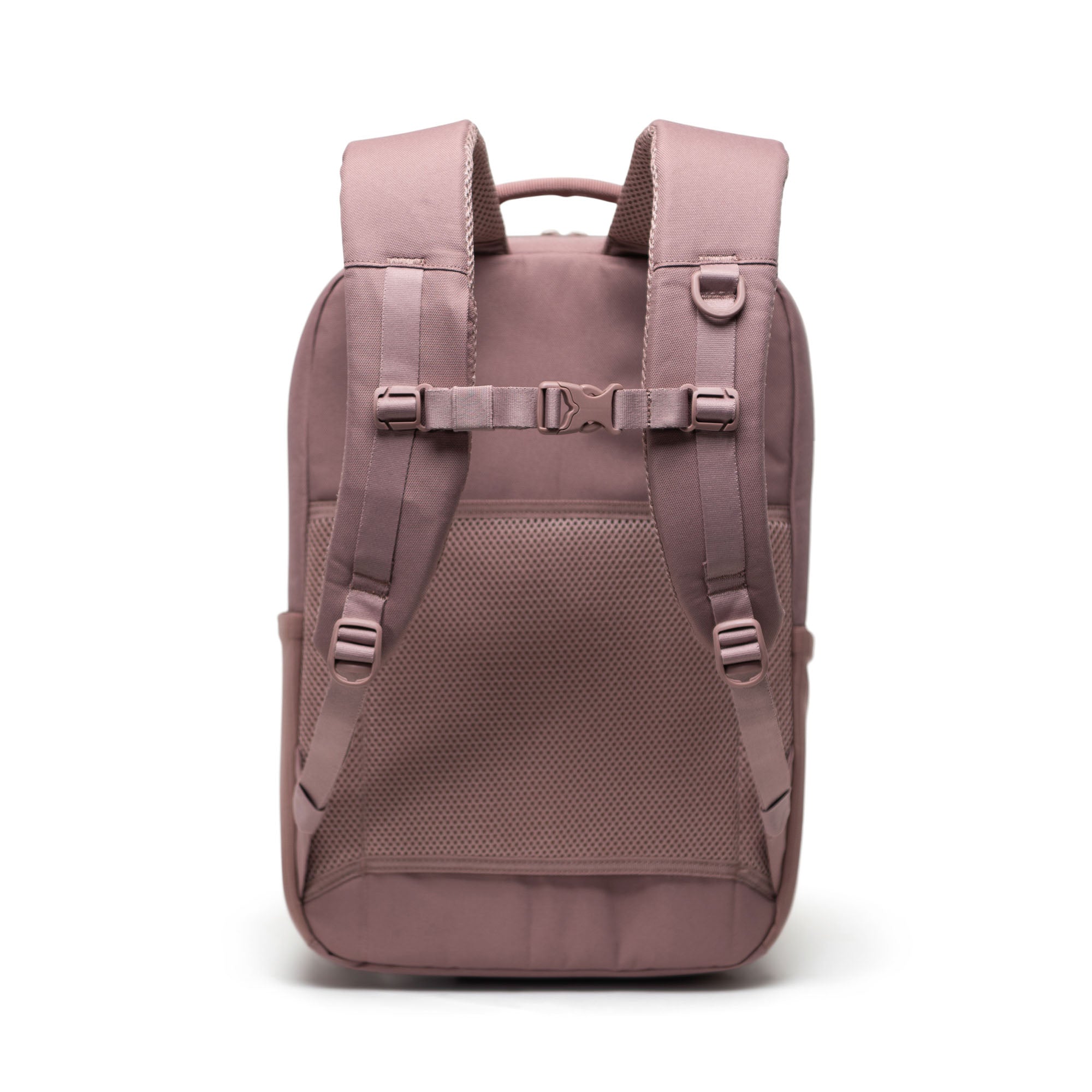 #color_Ash Rose Tonal