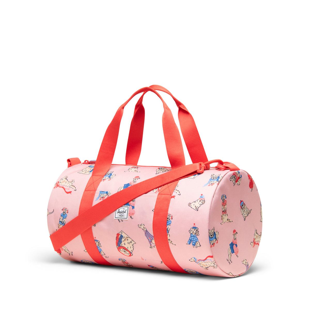 #color_Fashion Dogs