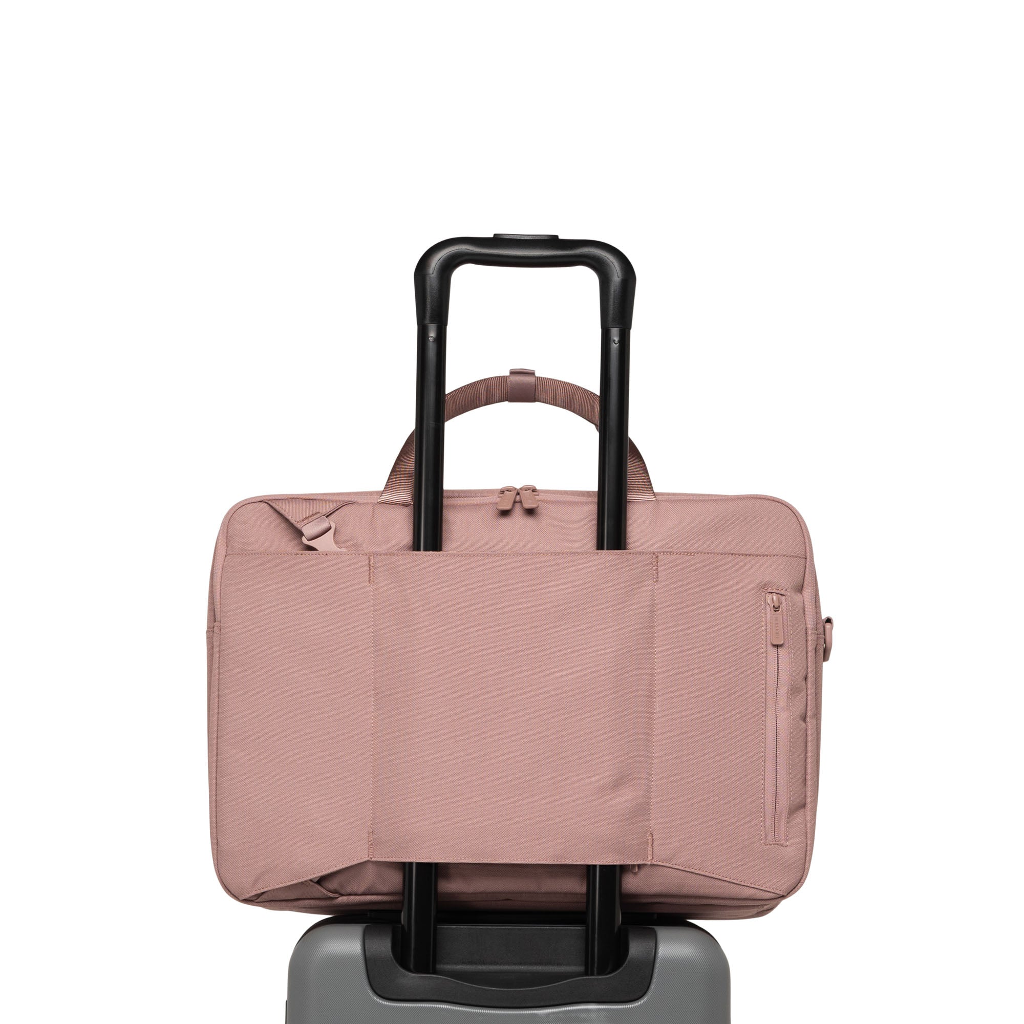 #color_Ash Rose Tonal
