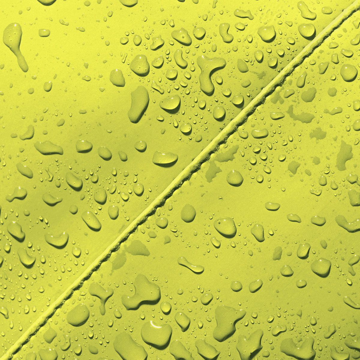 #color_Acid Lime