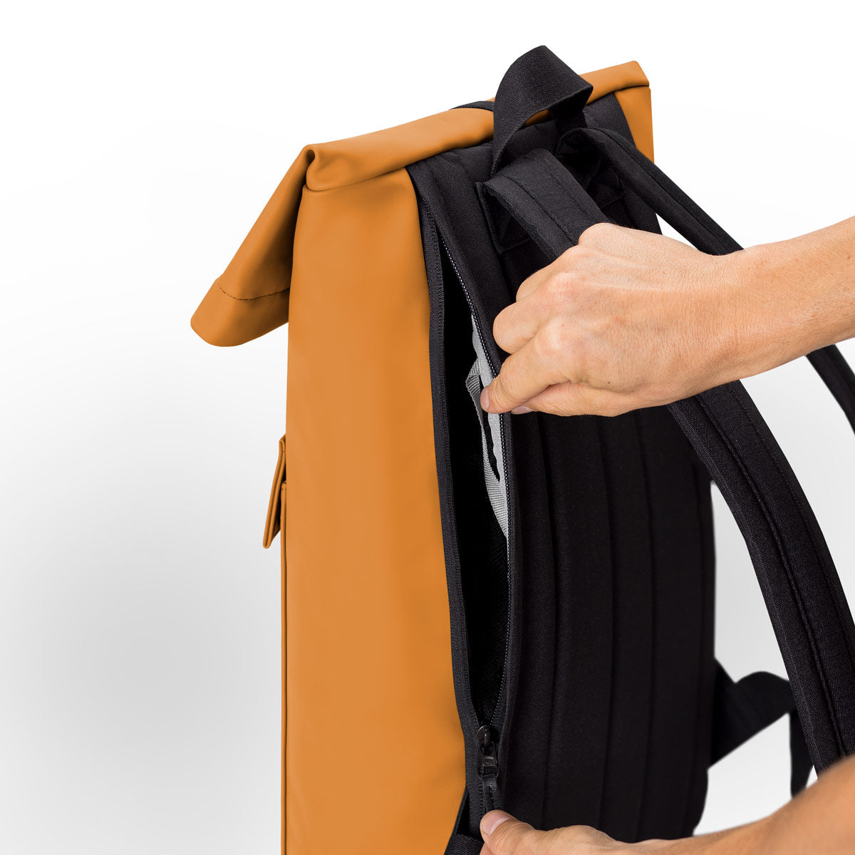 #color_Honey Mustard