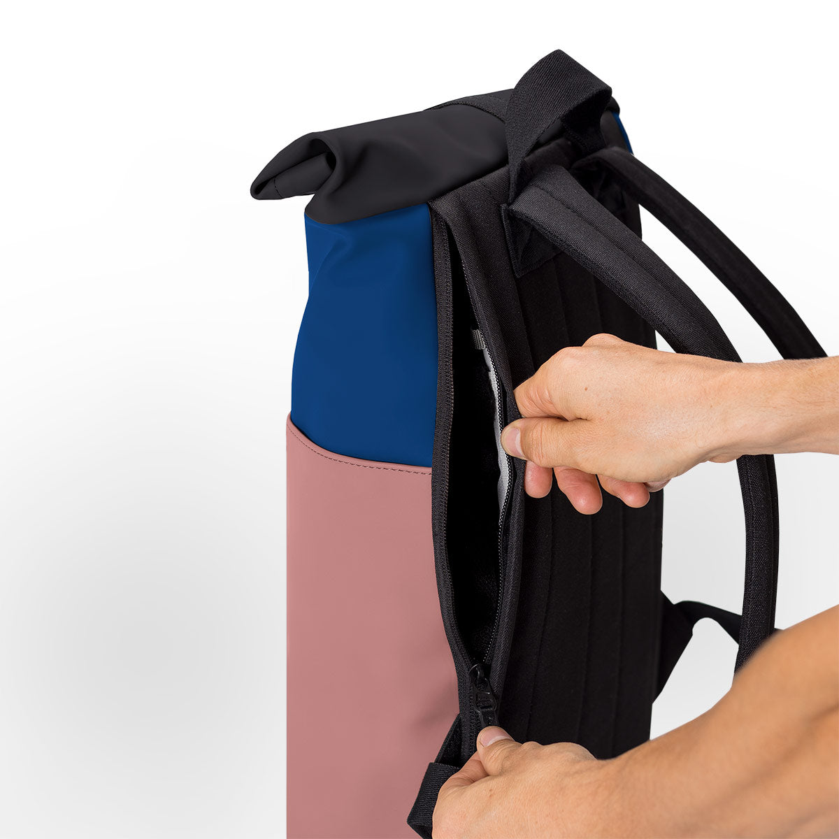 #color_Royal Blue - Dark Rose