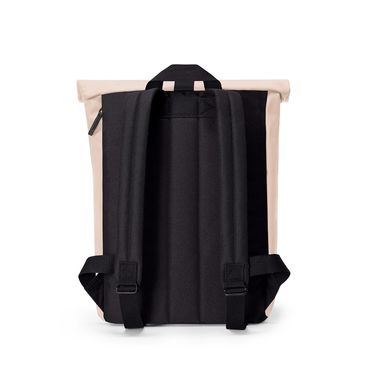 #color_Light Apricot