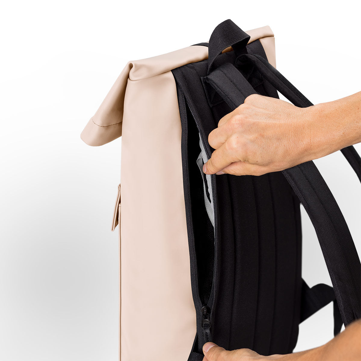 #color_Light Apricot