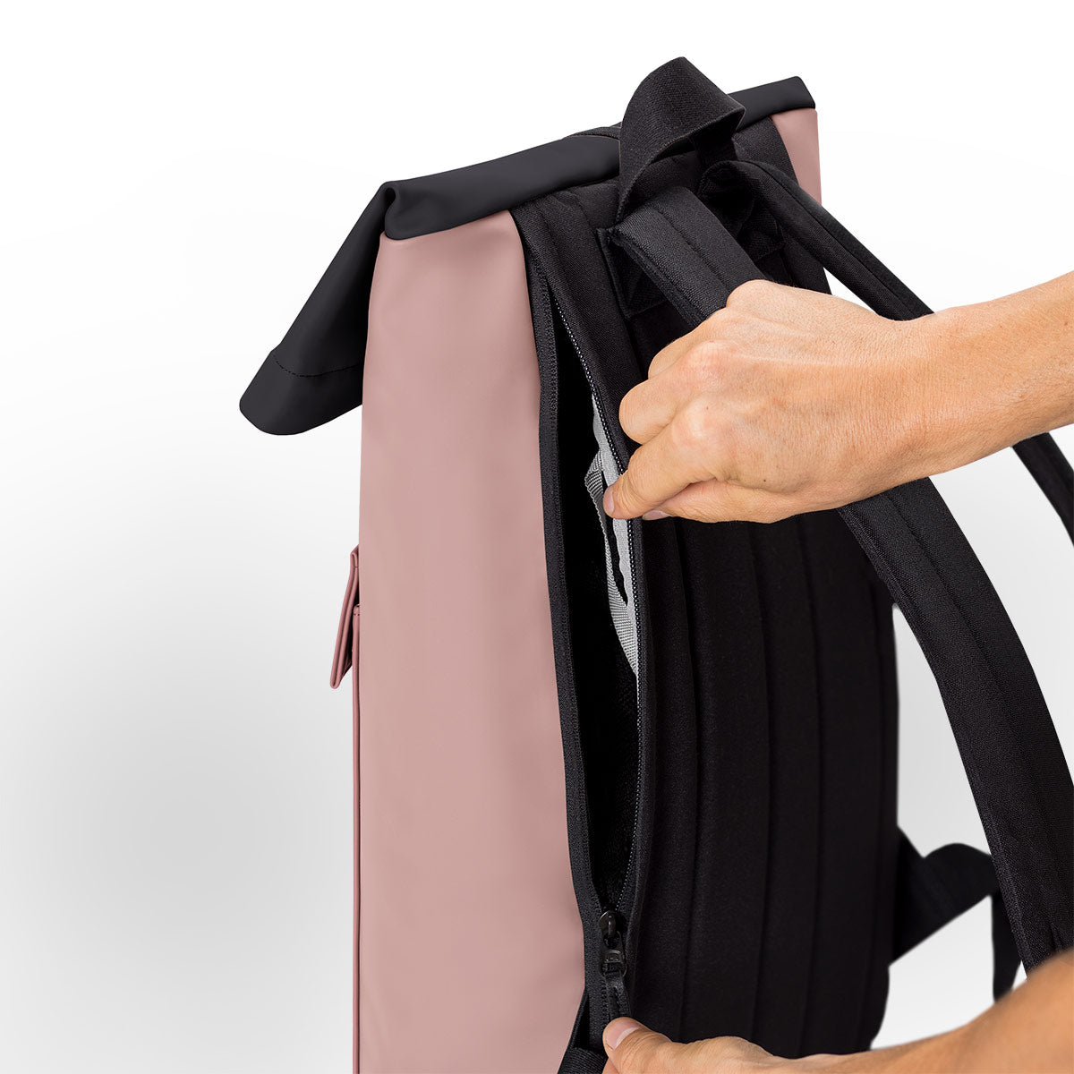 #color_Rose-Dark Rose