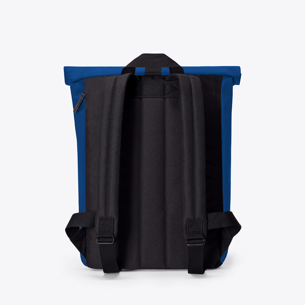 #color_Royal Blue