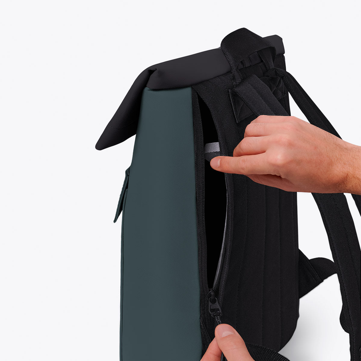 #color_Forest - Black