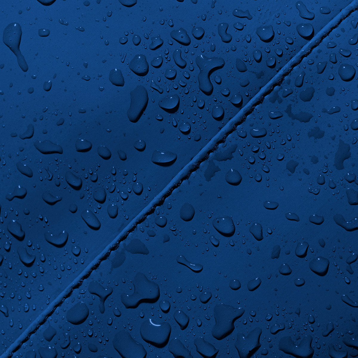 #color_Royal Blue