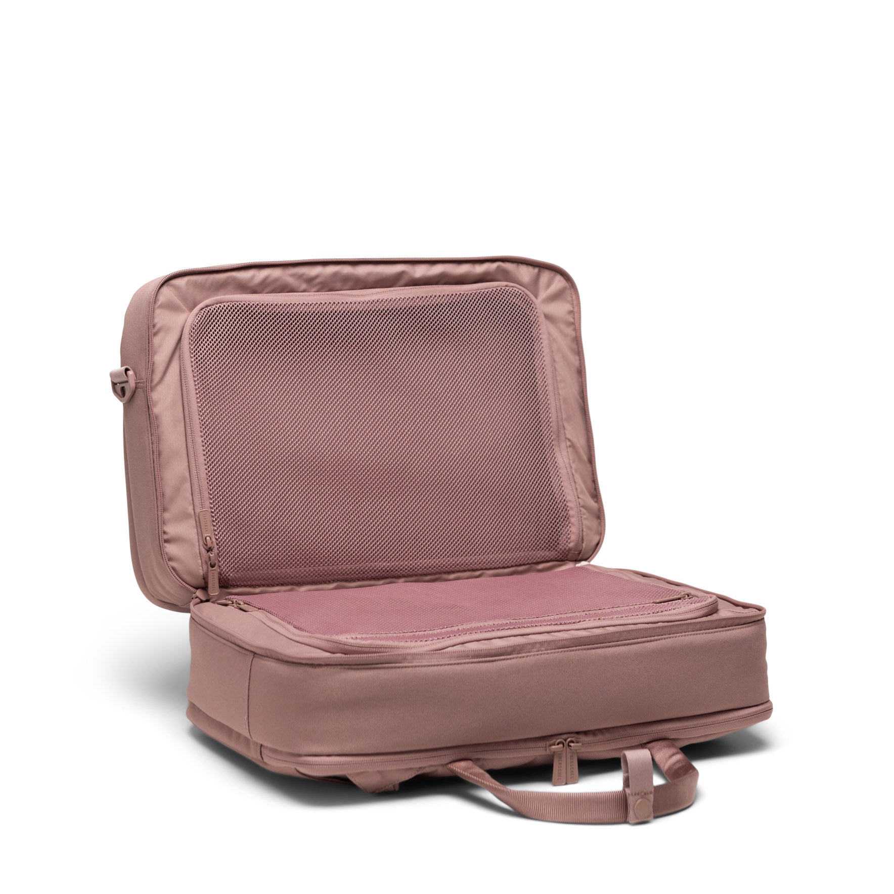 #color_Ash Rose Tonal