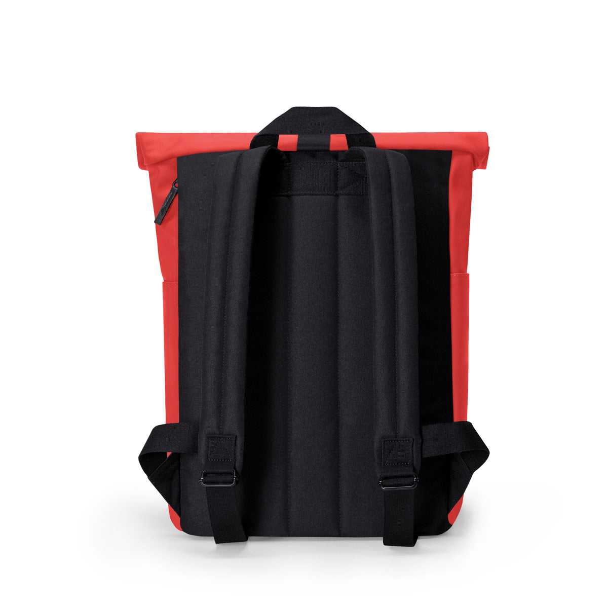 #color_Red