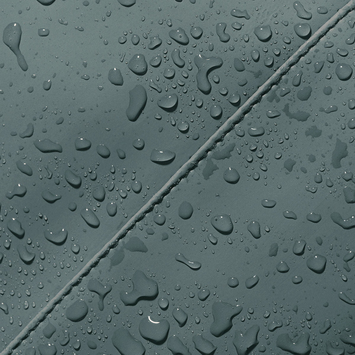 #color_Pine Green