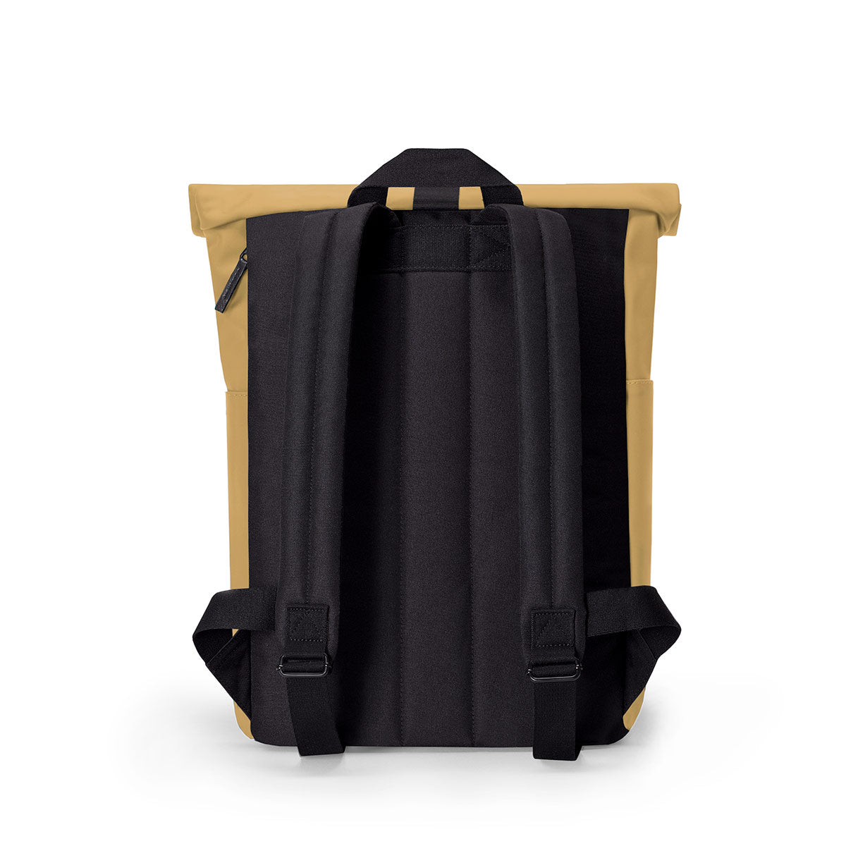 #color_Prairie Sand